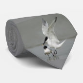 Umwerbende Sandwich-Seeschwalben Krawatte (Gerollt)