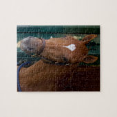 Umworben Puzzle (Horizontal)