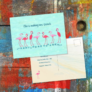 Umzug in die Tropen Flamingo Freunde Neue Adresse Postkarte