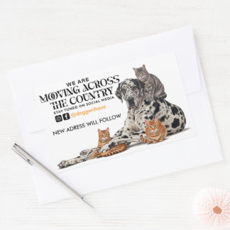 Umzug quer durchs Land Great Dane & Katze Rechteckiger Aufkleber