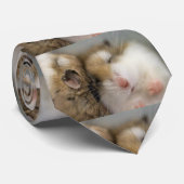 Umzug über Bob Krawatte (Gerollt)