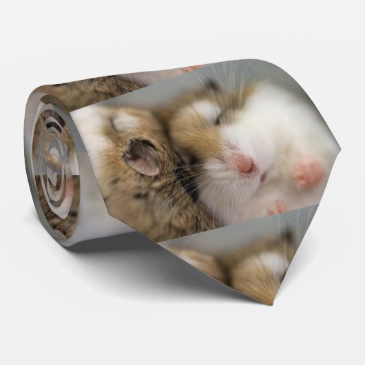 Umzug über Bob Krawatte (Gerollt)