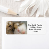 Umzug über den Bob (Insitu)