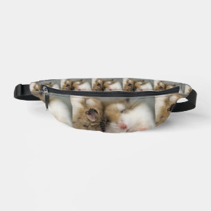 Umzug über den Bob Bauchtasche