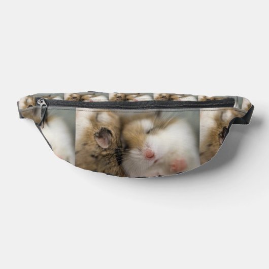 Umzug über den Bob Bauchtasche (Ablage )