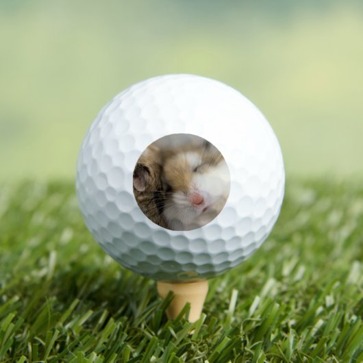 Umzug über den Bob Golfball (Insitu T-Shirt)