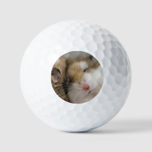 Umzug über den Bob Golfball (Vorderseite)