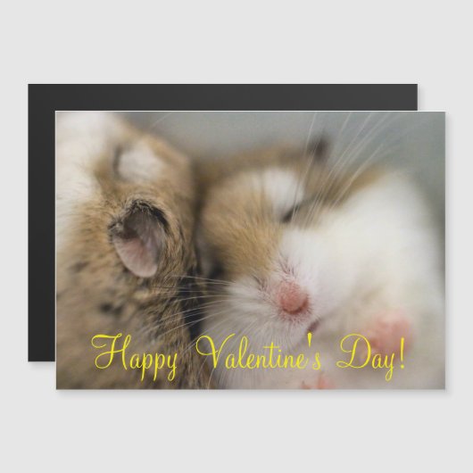 Umzug über den Bob Magnetkarte (Vorne/Hinten)