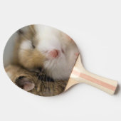 Umzug über den Bob Tischtennis Schläger (Seitenansicht)