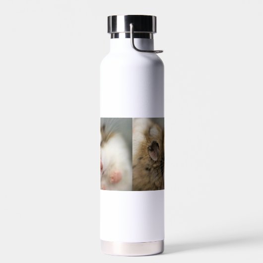 Umzug über den Bob Trinkflasche (Links)