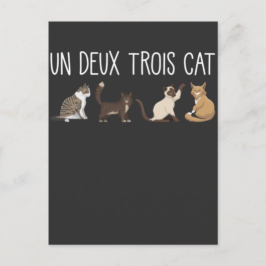Un Deux Trois Cat French Pub Kitty Spaß Pet Lover Postkarte (Vorderseite)