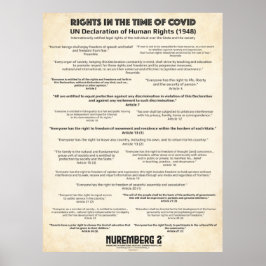 UN-Erklärung zu den Menschenrechten 1948 Großplaka Poster