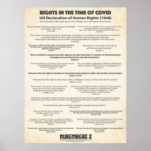 UN-Menschenrechtserklärung 1948 Mittleres Poster