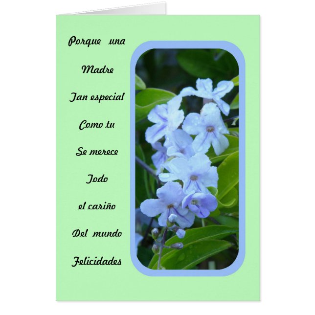 Una Madre tan besonderes como tu (Vorne)