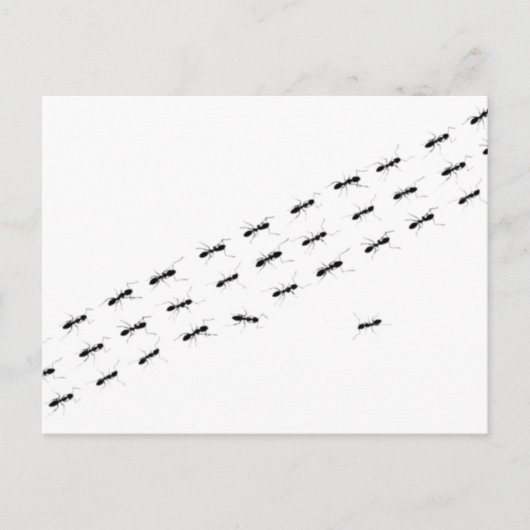 Unabhängige Ameisen Postkarte (Vorderseite)