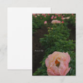 Unabhängige Pink Peñon Mitteilungskarte (Vorne/Hinten)