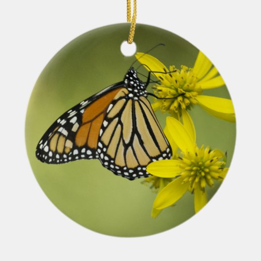 Unabhängige Reinheit Keramikornament (Vorne)