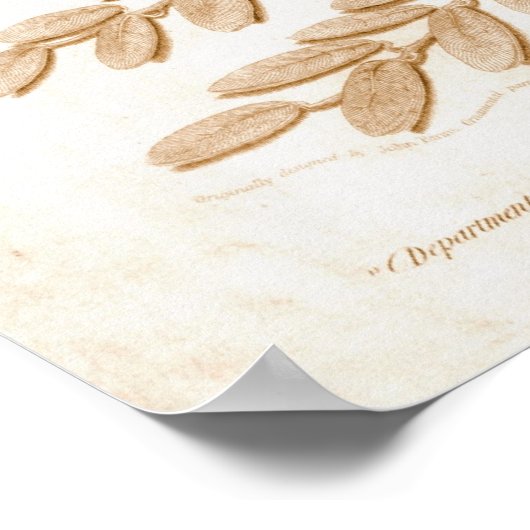 Unabhängigkeitserklärung 1818 poster (Ecke)