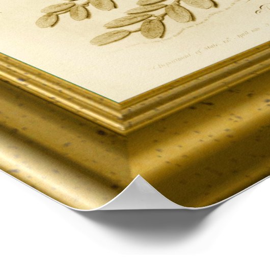 Unabhängigkeitserklärung Poster (Ecke)