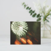 Unabhängigkeitstagfeuerwerke Postkarte (Stehend Vorderseite)