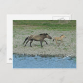 unartig postkarte (Vorne/Hinten)