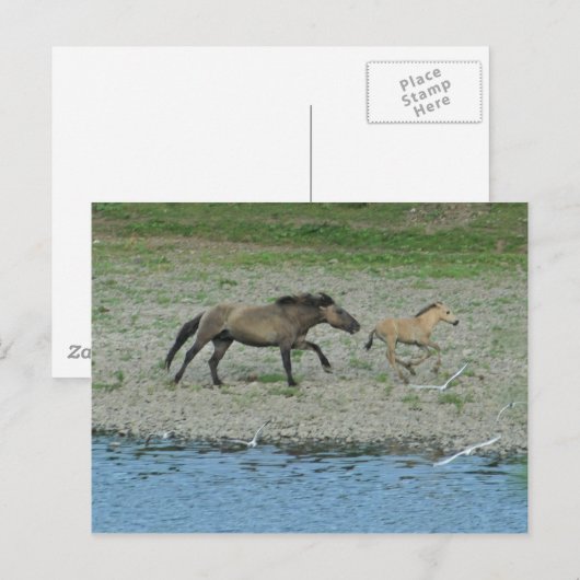 unartig postkarte (Vorne/Hinten)