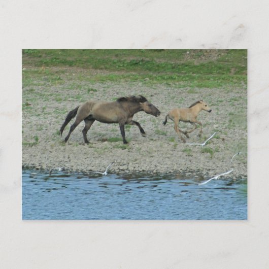 unartig postkarte (Vorderseite)