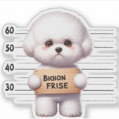 Unartiger Bichon Frise Aufkleber (Vorderseite)