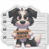 Unartiger Border Collie Aufkleber (Vorderseite)