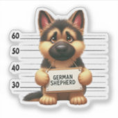 Unartiger Deutscher Schäferhund Aufkleber (Vorderseite)