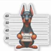 Unartiger Dobermann Pinscher Aufkleber (Vorderseite)