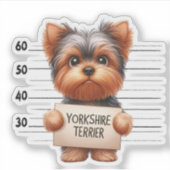 Unartiger Yorkshire Terrier Aufkleber (Vorderseite)
