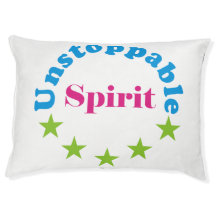 unaufhaltsamer Geist