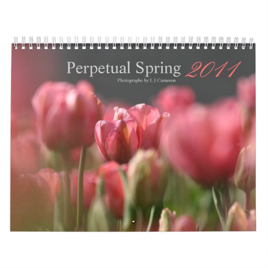 Unaufhörlicher Frühling 2011 Kalender (Titelbild)