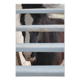 Unausgesprochene Verbindung Fotodruck