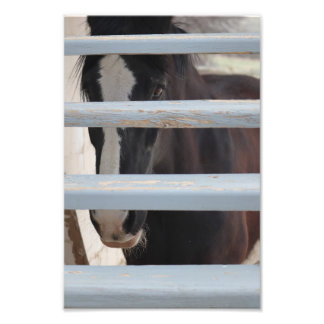 Unausgesprochene Verbindung Fotodruck