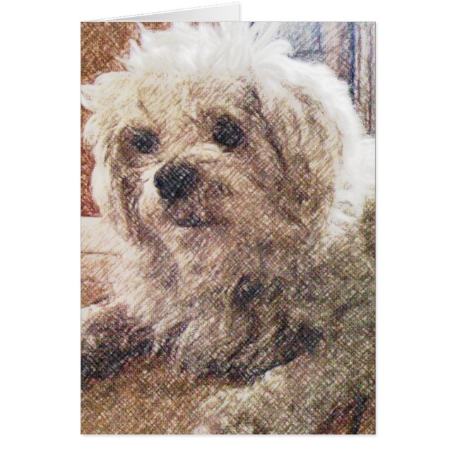 Unbedingte Liebe (Vorne)