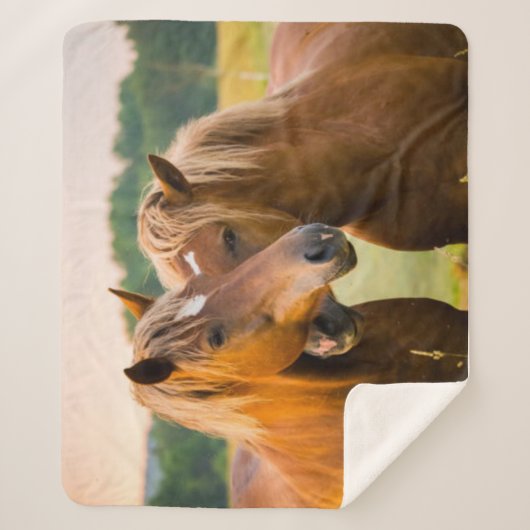 Unbedingte Liebe Sherpadecke (Vorderseite)