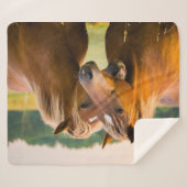 Unbedingte Liebe Sherpadecke (Vorderseite (Horizontal))