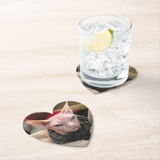 Unbehaarte Katze - weißer Elefant-Geschenk Untersetzer (Vor Ort)