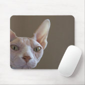 Unbehaarte Katzen-Mausunterlage Mousepad (Mit Mouse)