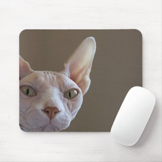 Unbehaarte Katzen-Mausunterlage Mousepad (Mit Mouse)
