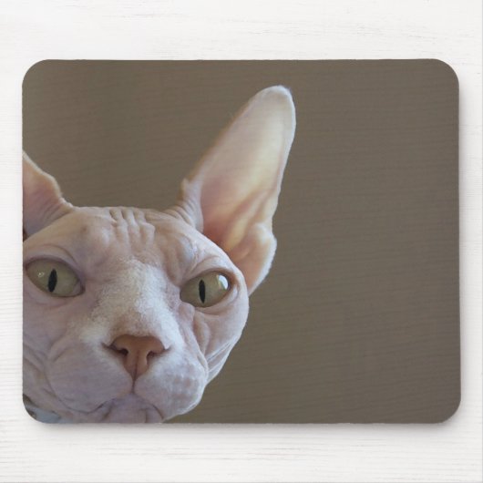 Unbehaarte Katzen-Mausunterlage Mousepad (Vorne)