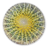 Unbehaglicher Arid Cactus Keramikknauf (Vorderseite)