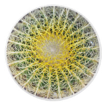 Unbehaglicher Arid Cactus