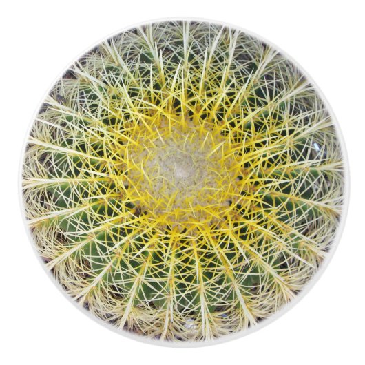 Unbehaglicher Arid Cactus Keramikknauf (Vorderseite)