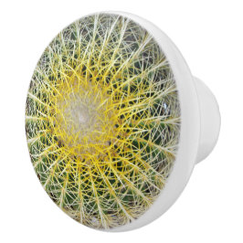 Unbehaglicher Arid Cactus Keramikknauf