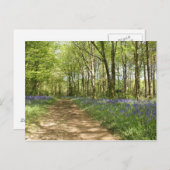 Unbeholztes Holz Postkarte (Vorne/Hinten)