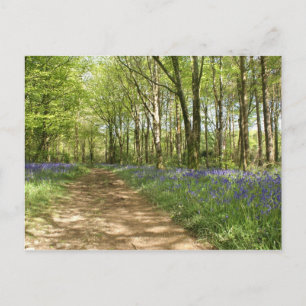 Unbeholztes Holz Postkarte