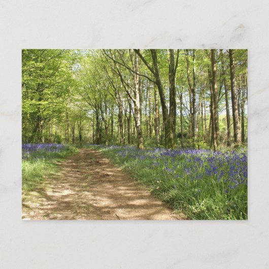 Unbeholztes Holz Postkarte (Vorderseite)